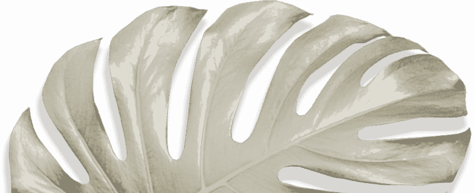 Movadex design agency sand monstera leaf decoration 2