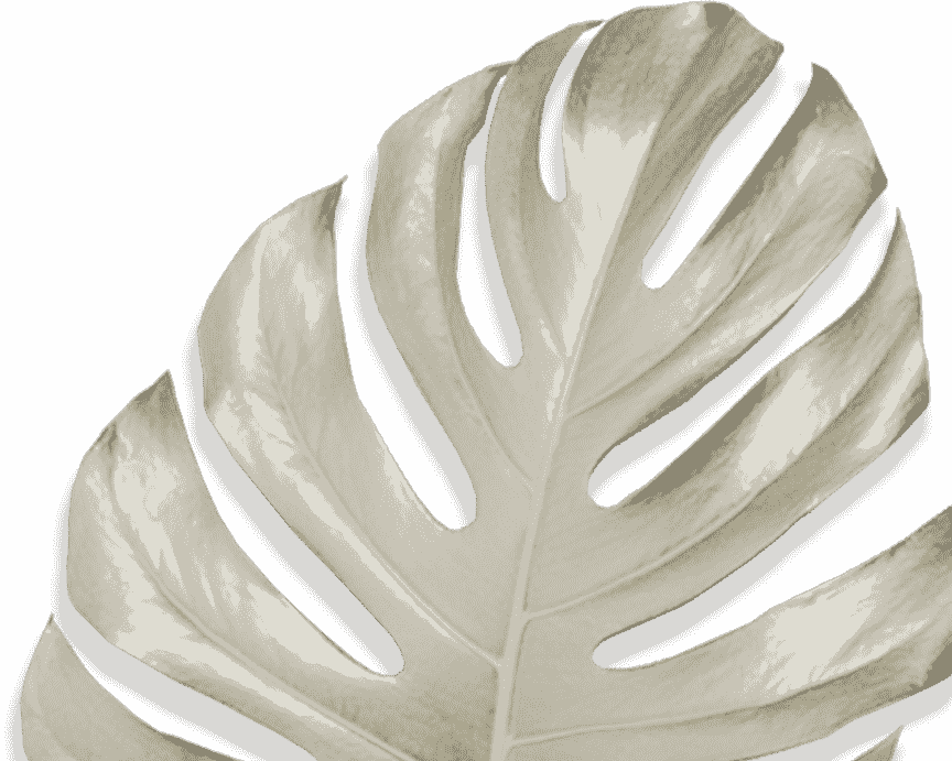Movadex design agency sand monstera leaf decoration 3