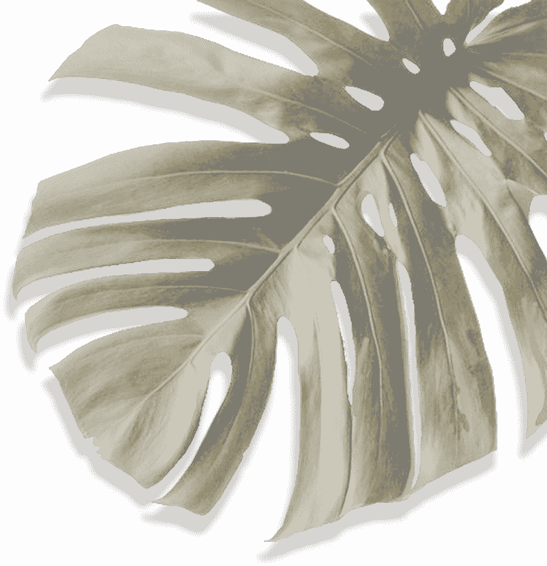 Movadex design agency sand monstera leaf decoration 4