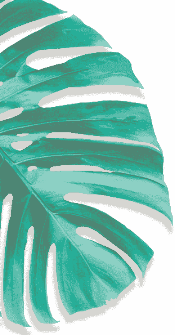 Movadex design agency turquoise monstera leaf decoration 1