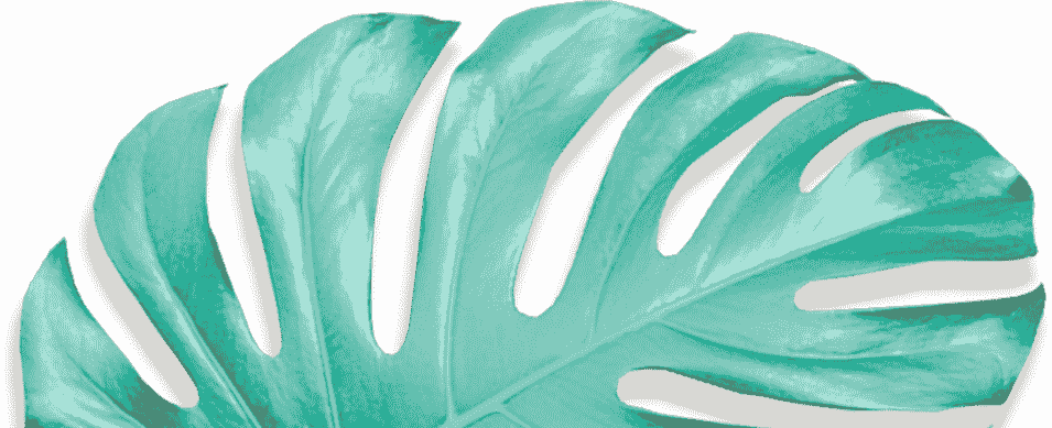 Movadex design agency turquoise monstera leaf decoration 2