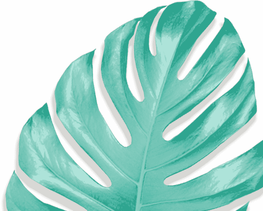 Movadex design agency turquoise monstera leaf decoration 3