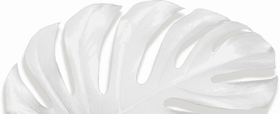 Movadex design agency white monstera leaf decoration 2