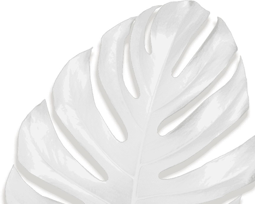 Movadex design agency white monstera leaf decoration 3
