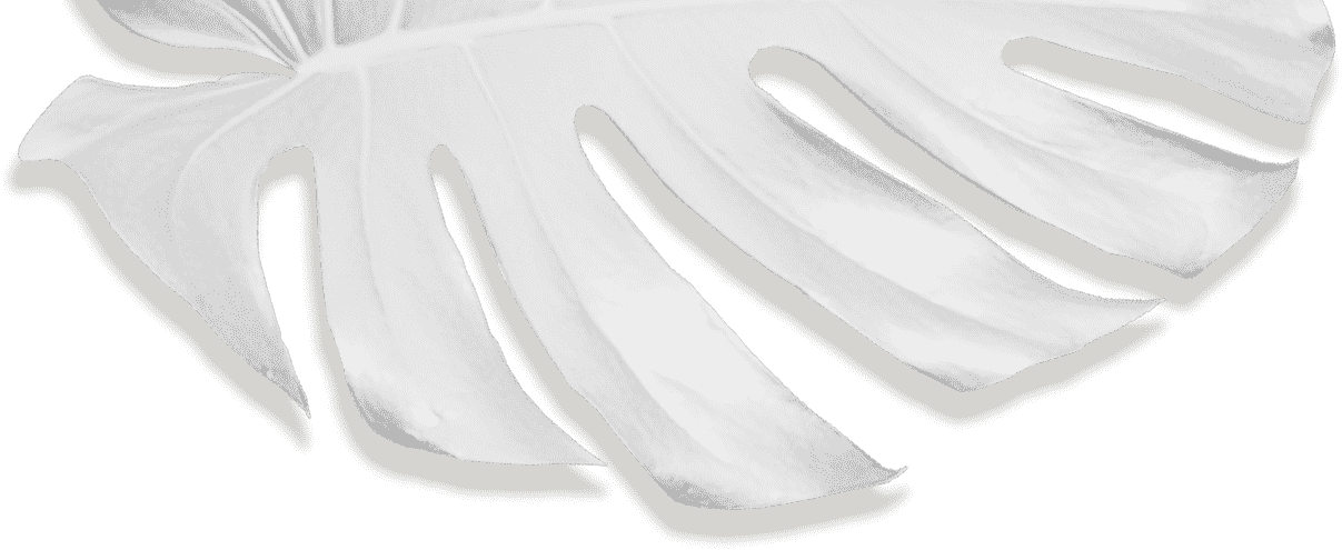Movadex design agency white monstera leaf decoration 5
