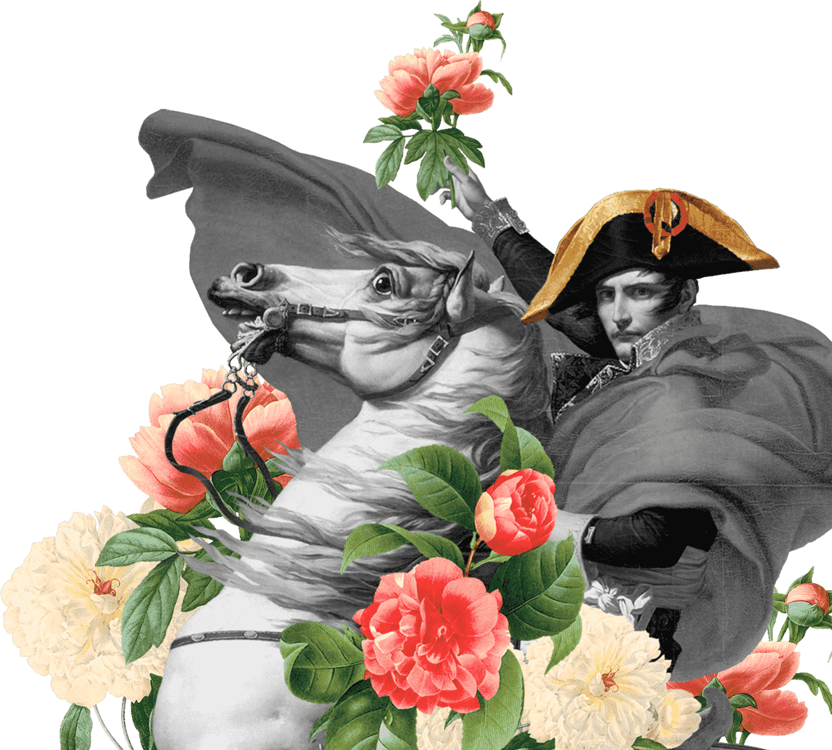 Napoleon on a horse with flowers